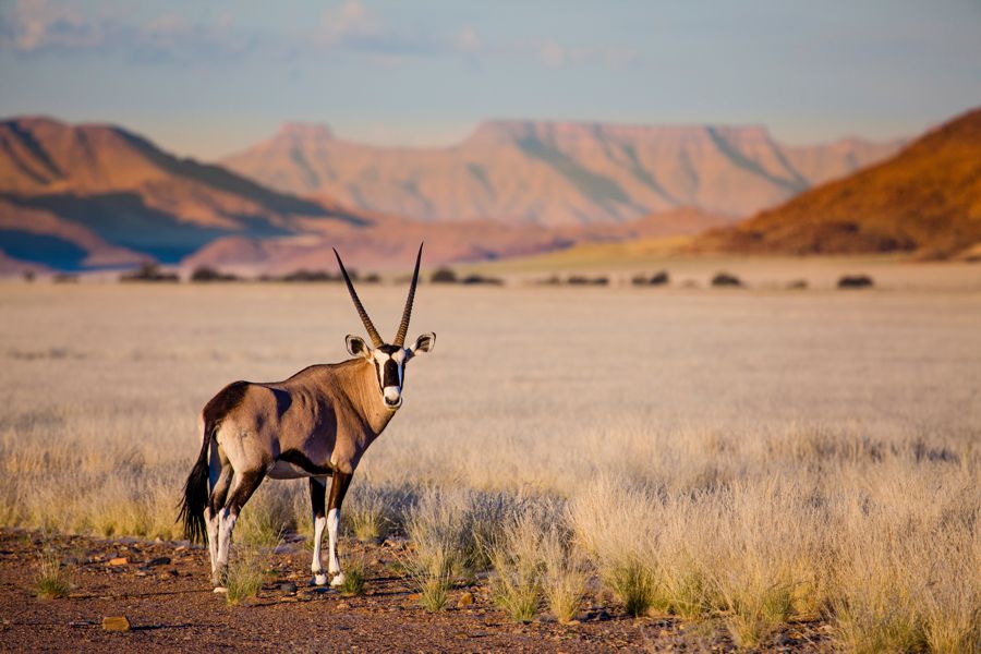 Discover Namibia Road Trip