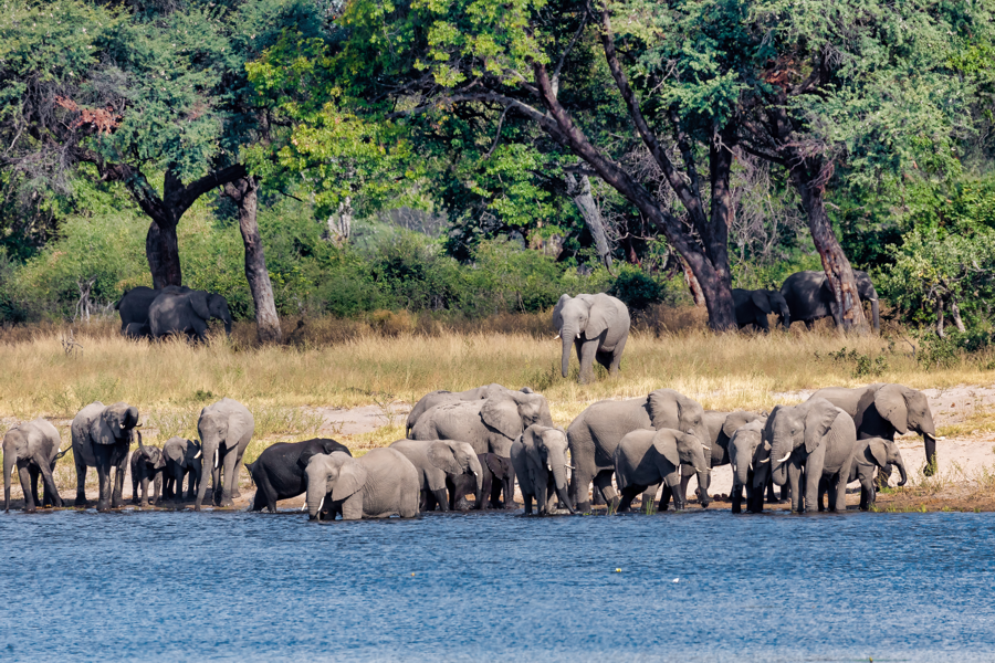 Roadtrip von  Windhoek nach Victoria Falls