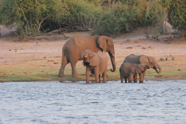 Roadtrip von  Windhoek nach Victoria Falls