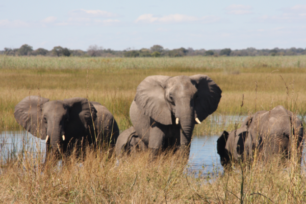 Roadtrip von  Windhoek nach Victoria Falls