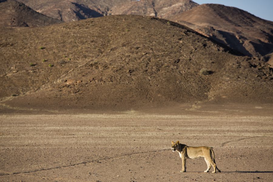 Namibia Flying Safari