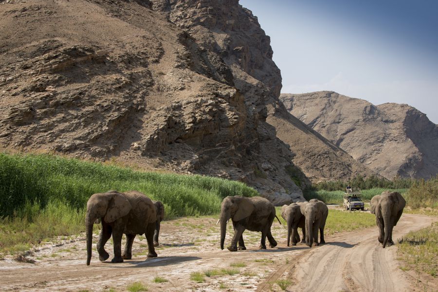 Namibia Flying Safari