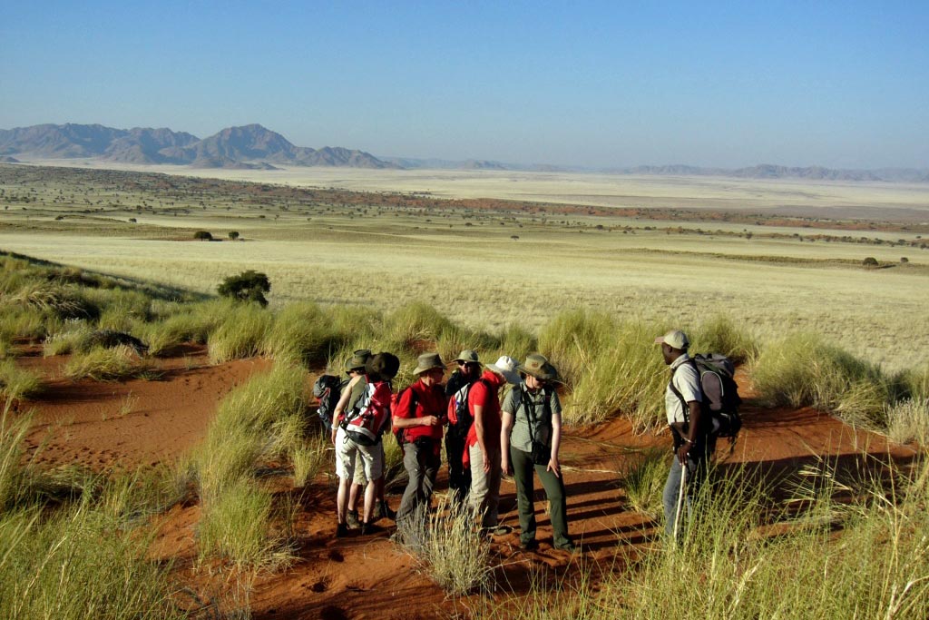 Tok Tokkie Trails