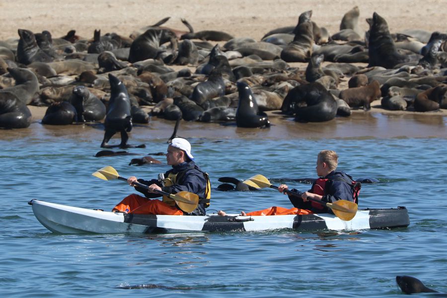 Pelican Point Kayaking