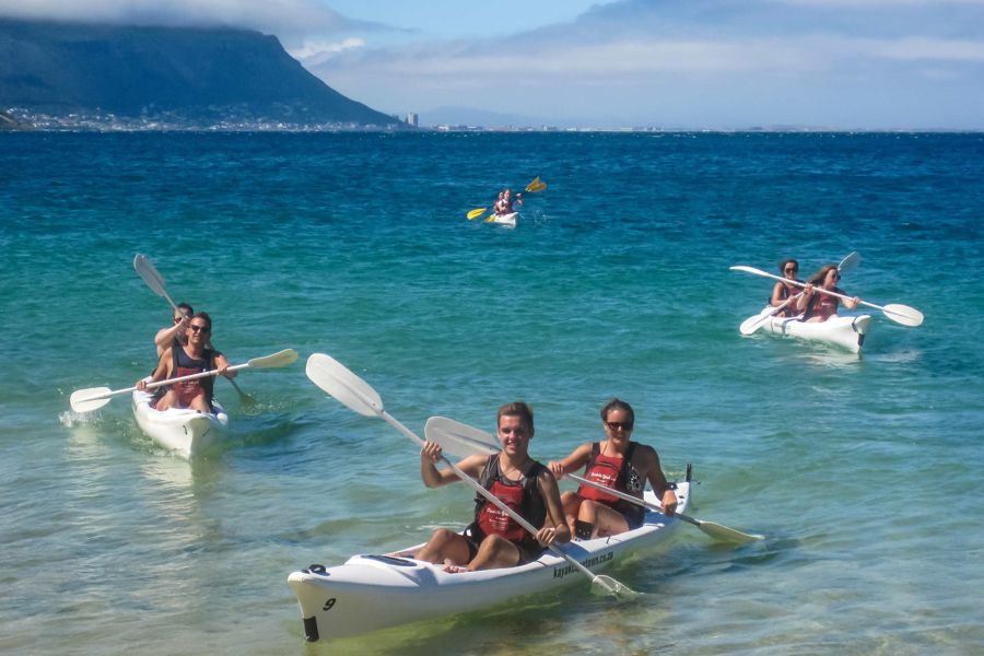 Penguin Sea Kayak Trip