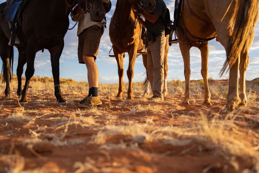 Wolwedans Desert Horse Riding