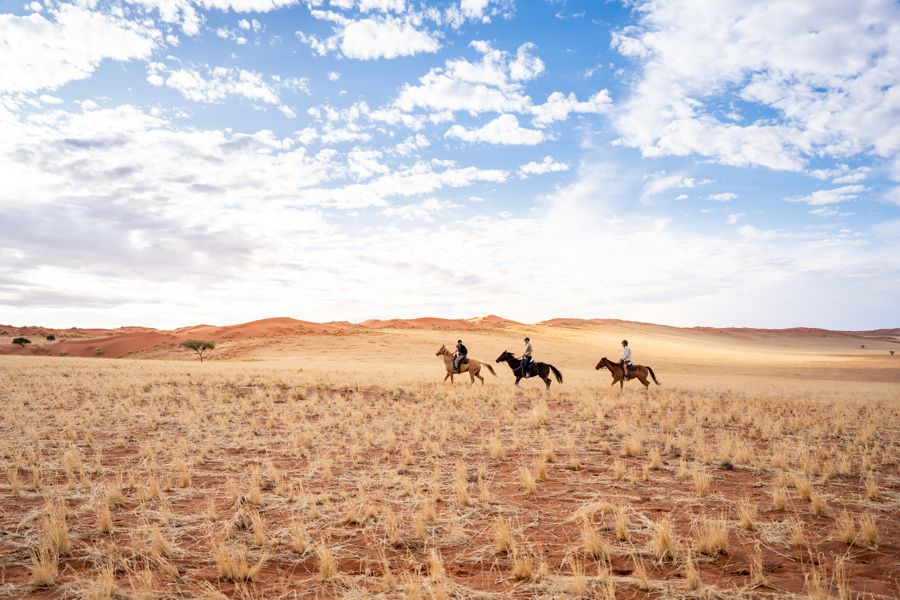 Wolwedans Desert Horse Riding