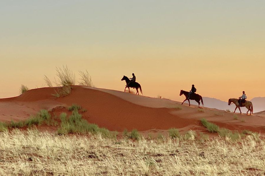 Wolwedans Desert Horse Riding