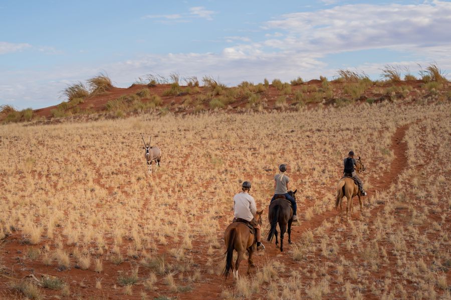 Wolwedans Desert Horse Riding