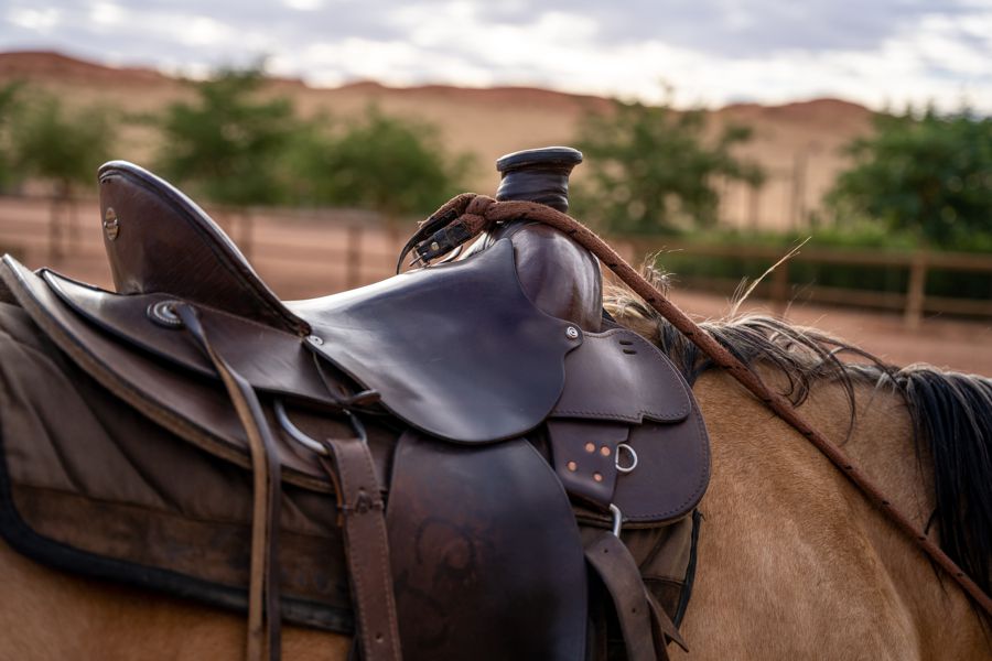 Wolwedans Desert Horse Riding