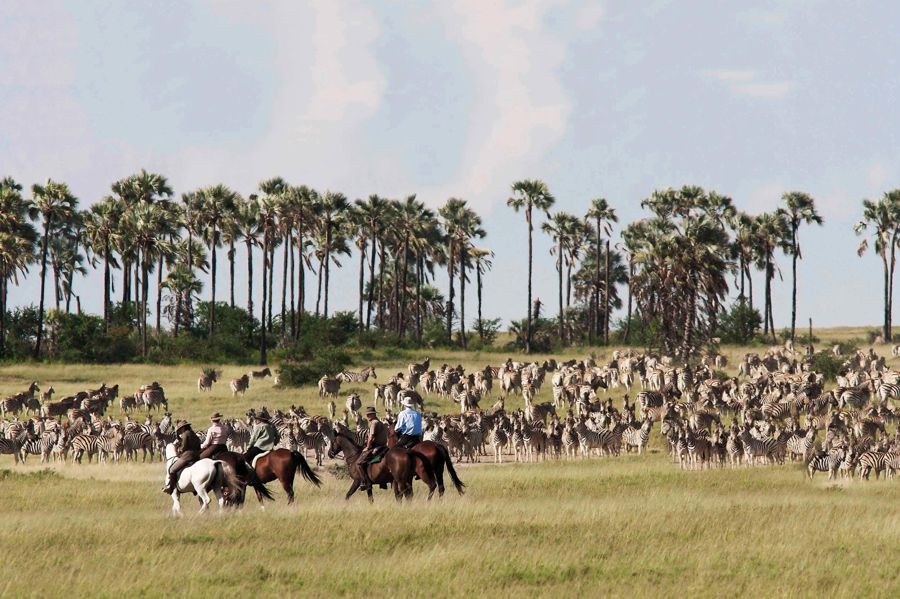 Makgadikgadi Horse Riding Safari
