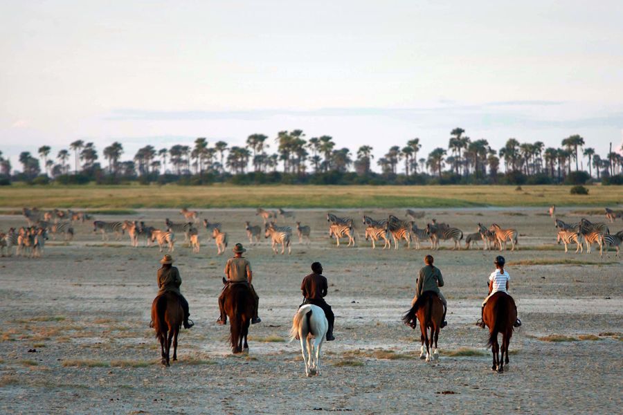 Makgadikgadi Horse Riding Safari