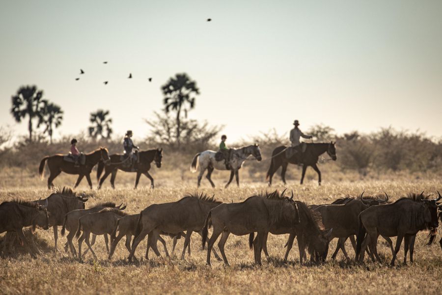 Makgadikgadi Horse Riding Safari