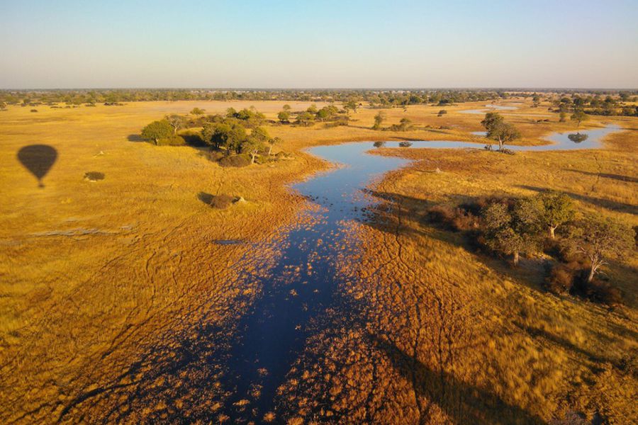 Okavango Balloon Safari