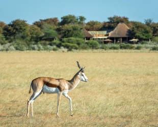 Wilderness Kalahari Plains