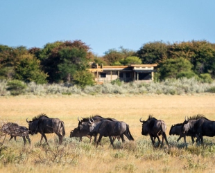 Wilderness Kalahari Plains