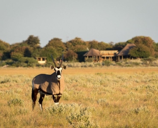 Wilderness Kalahari Plains