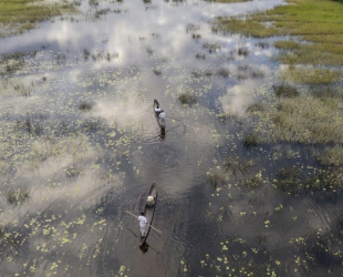 Wilderness Vumbura Plains