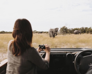 Wilderness Vumbura Plains