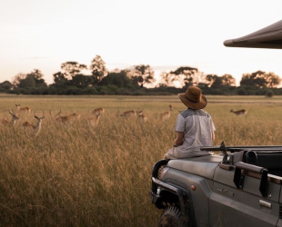 Wilderness Vumbura Plains