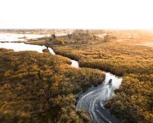 Wilderness Vumbura Plains