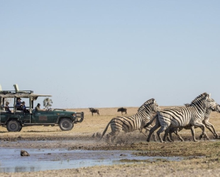 Camp Kalahari