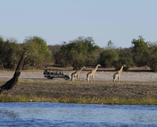 Chobe Game Lodge