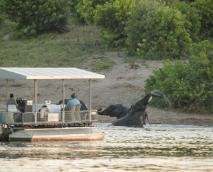 Chobe Game Lodge