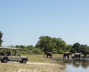 Chobe Game Lodge