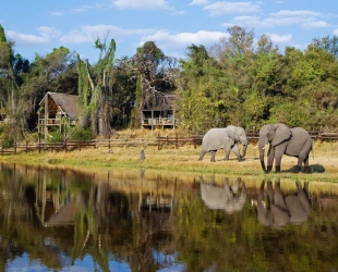 Savute Safari Lodge