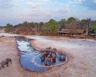 Savute Safari Lodge