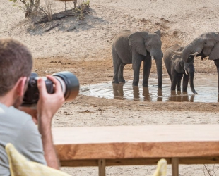 Savute Safari Lodge