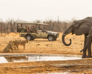 Savute Safari Lodge