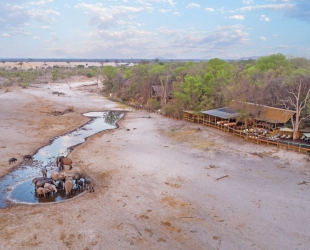 Savute Safari Lodge