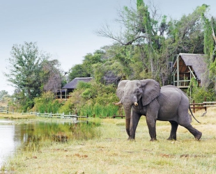 Savute Safari Lodge