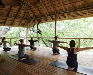 Londolozi Tree Camp