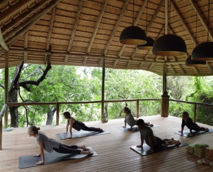 Londolozi Tree Camp