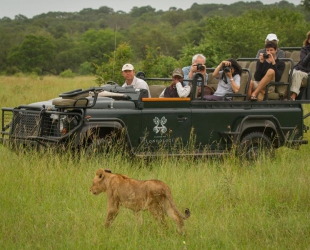 Londolozi Tree Camp