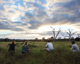 Londolozi Tree Camp