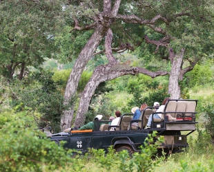 Londolozi Tree Camp