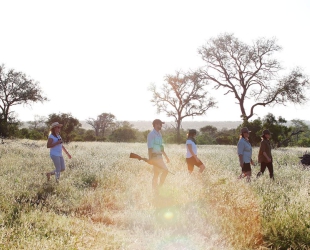 Londolozi Tree Camp