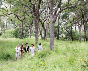 Londolozi Tree Camp