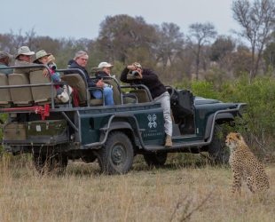 Londolozi Tree Camp