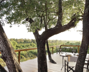 Londolozi Tree Camp