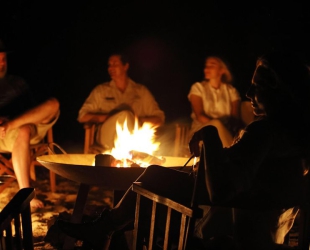 Londolozi Tree Camp