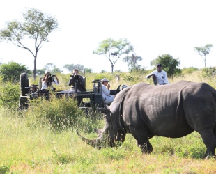 Londolozi Tree Camp