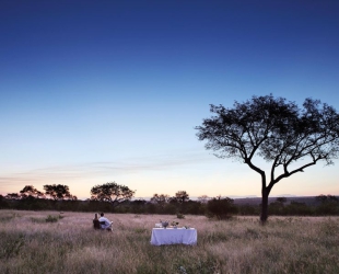 Londolozi Tree Camp