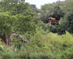 Londolozi Tree Camp