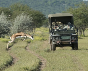 Ongava Lodge