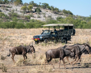 Ongava Lodge